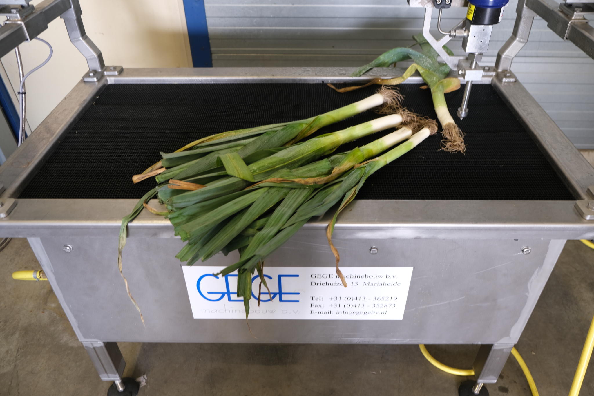 Cutting leek and vegetables