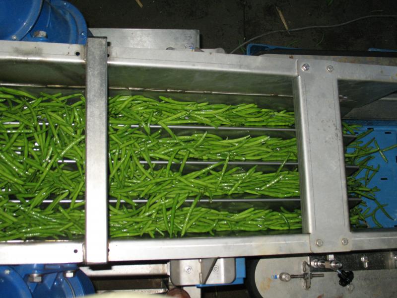 Bean cutting machine